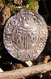 Монета, найденная Террой 705